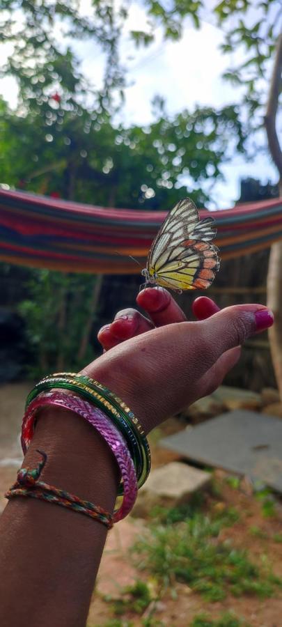 Hearthspace Hampi - Small Home, A Low-Impact Backpackers Hostel Luaran gambar